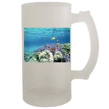 Underwater World 16oz Frosted Beer Stein