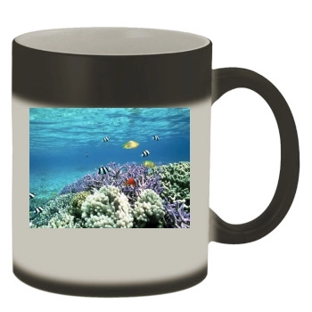 Underwater World Color Changing Mug