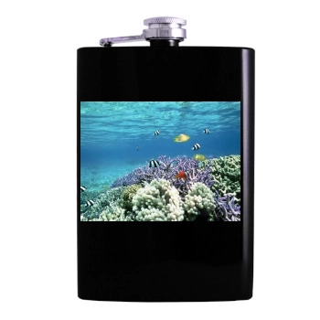 Underwater World Hip Flask