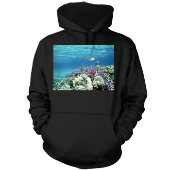 Underwater World Mens Pullover Hoodie Sweatshirt