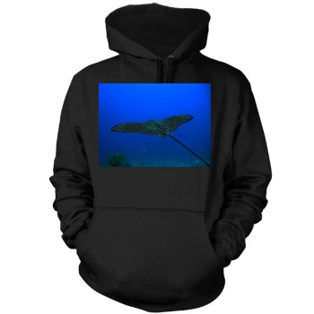 Underwater World Mens Pullover Hoodie Sweatshirt