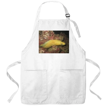 Underwater World Apron