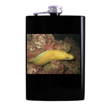 Underwater World Hip Flask