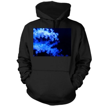 Underwater World Mens Pullover Hoodie Sweatshirt