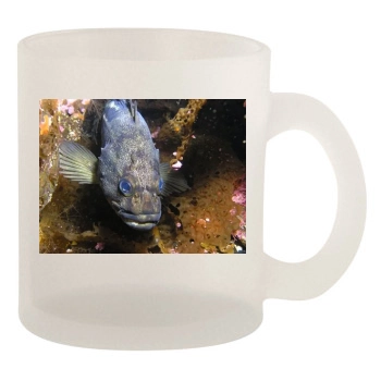 Underwater World 10oz Frosted Mug