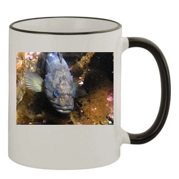 Underwater World 11oz Colored Rim & Handle Mug