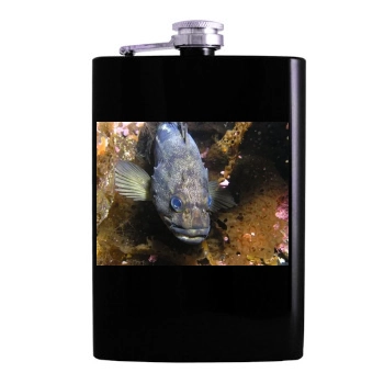 Underwater World Hip Flask