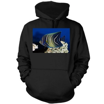 Underwater World Mens Pullover Hoodie Sweatshirt