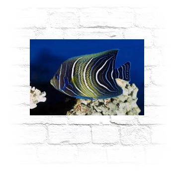 Underwater World Metal Wall Art