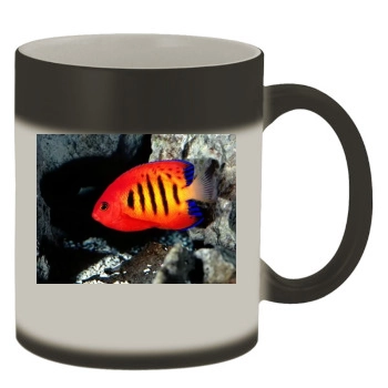 Underwater World Color Changing Mug