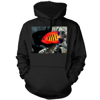 Underwater World Mens Pullover Hoodie Sweatshirt