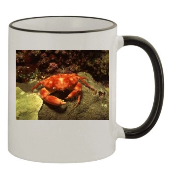 Underwater World 11oz Colored Rim & Handle Mug