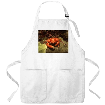 Underwater World Apron