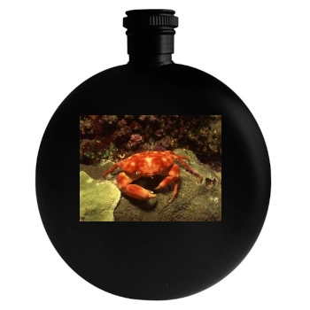 Underwater World Round Flask