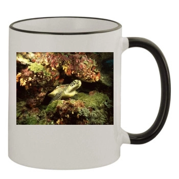 Underwater World 11oz Colored Rim & Handle Mug