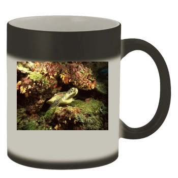 Underwater World Color Changing Mug