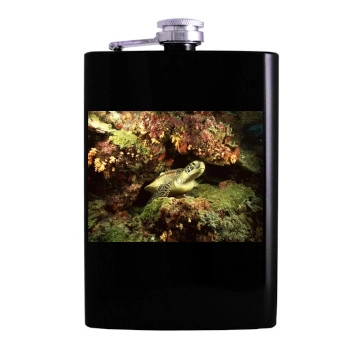 Underwater World Hip Flask