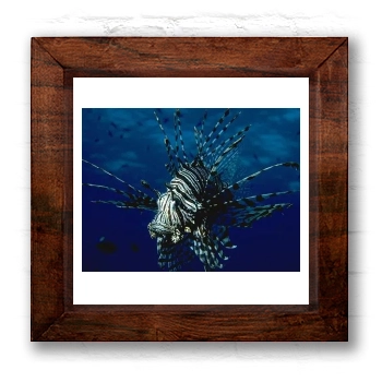 Underwater World 6x6