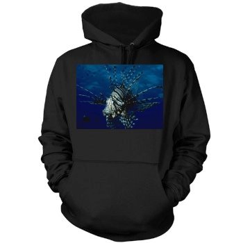 Underwater World Mens Pullover Hoodie Sweatshirt