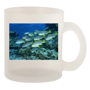 Underwater World 10oz Frosted Mug