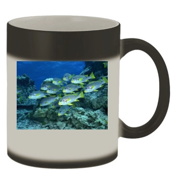 Underwater World Color Changing Mug