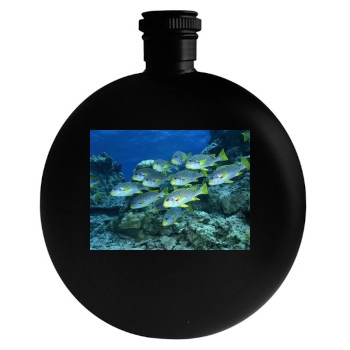 Underwater World Round Flask