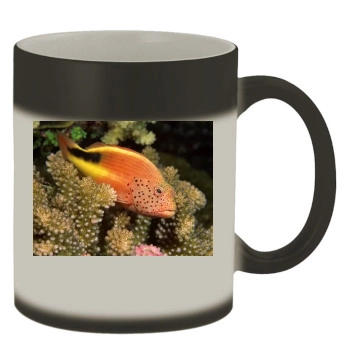 Underwater World Color Changing Mug