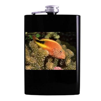 Underwater World Hip Flask