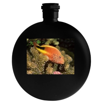 Underwater World Round Flask