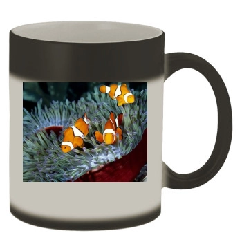 Underwater World Color Changing Mug