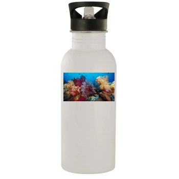 Underwater World Stainless Steel Water Bottle