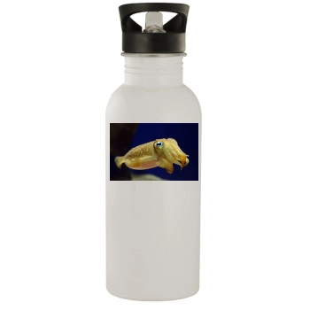 Underwater World Stainless Steel Water Bottle