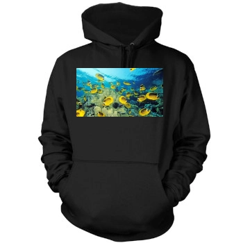 Underwater World Mens Pullover Hoodie Sweatshirt