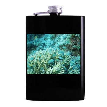 Underwater World Hip Flask