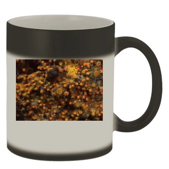 Underwater World Color Changing Mug