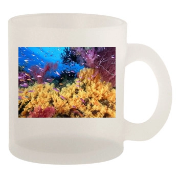 Underwater World 10oz Frosted Mug