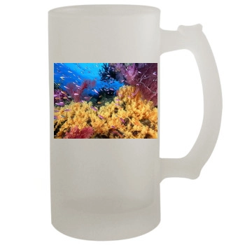 Underwater World 16oz Frosted Beer Stein