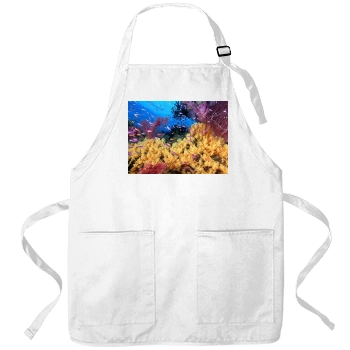 Underwater World Apron