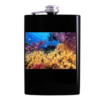 Underwater World Hip Flask