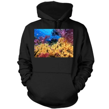 Underwater World Mens Pullover Hoodie Sweatshirt