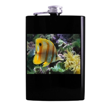 Underwater World Hip Flask