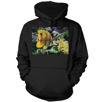 Underwater World Mens Pullover Hoodie Sweatshirt