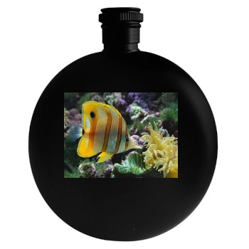 Underwater World Round Flask