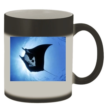 Underwater World Color Changing Mug