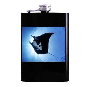 Underwater World Hip Flask