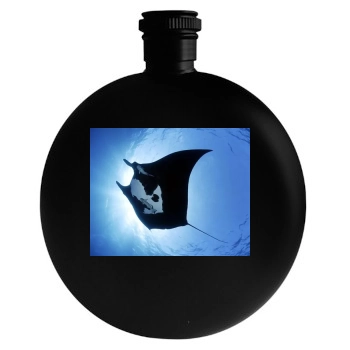 Underwater World Round Flask