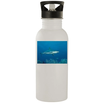 Underwater World Stainless Steel Water Bottle