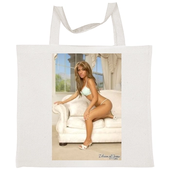 Hayden Panettiere Tote