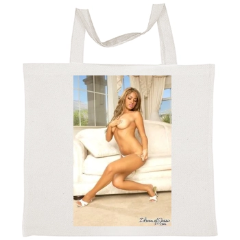 Hayden Panettiere Tote