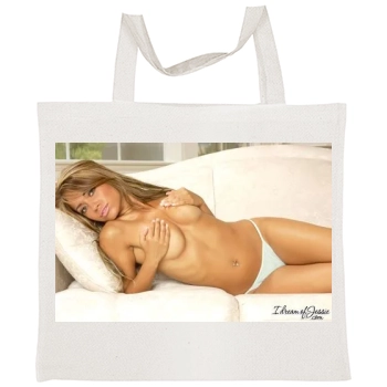 Hayden Panettiere Tote